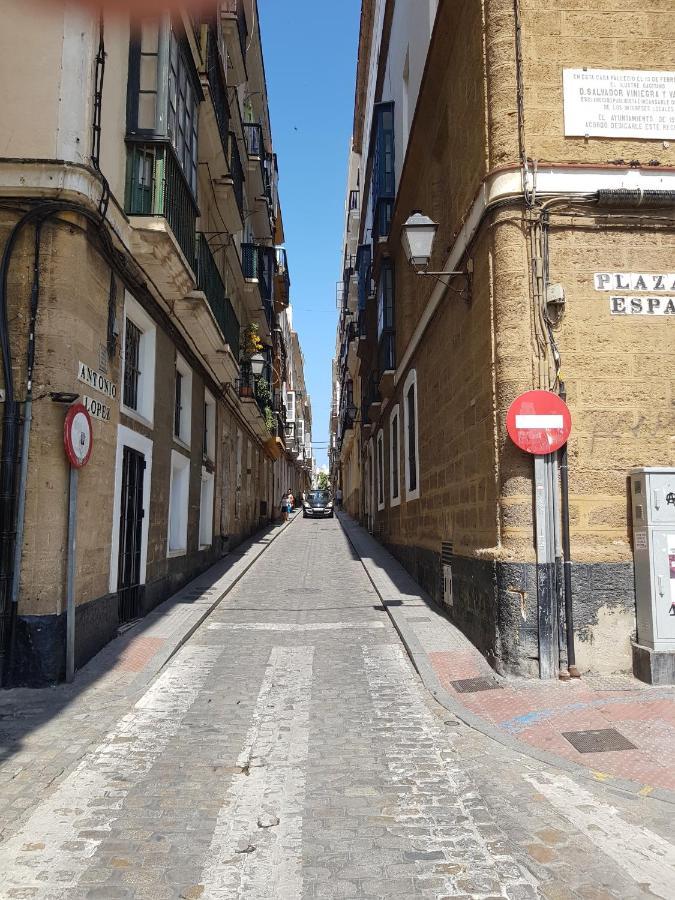 Casa Del Anticuario *