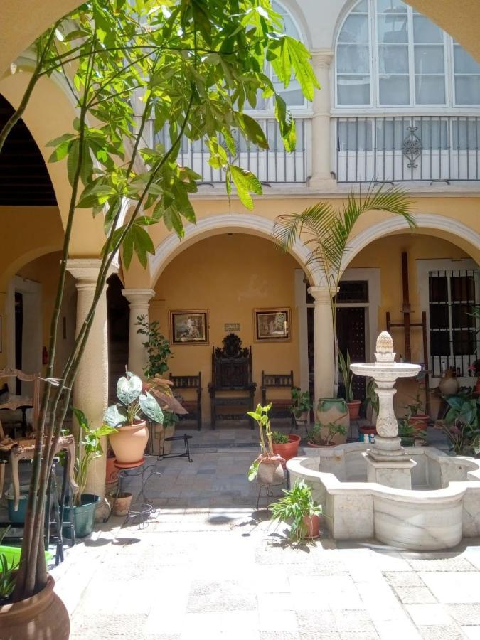 Casa Del Anticuario *